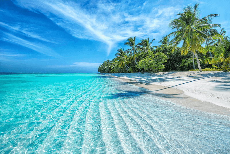 The Maldives