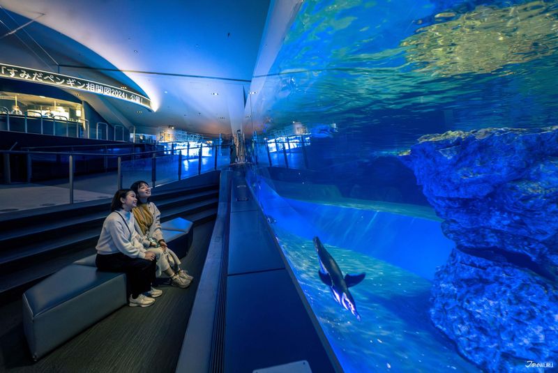 Kuritsu Sumida Aquarium