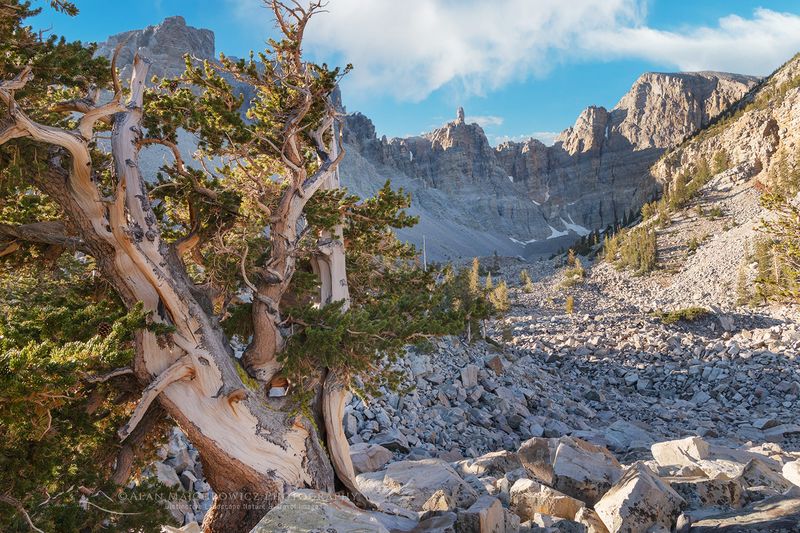 Great Basin National Park, Nevada