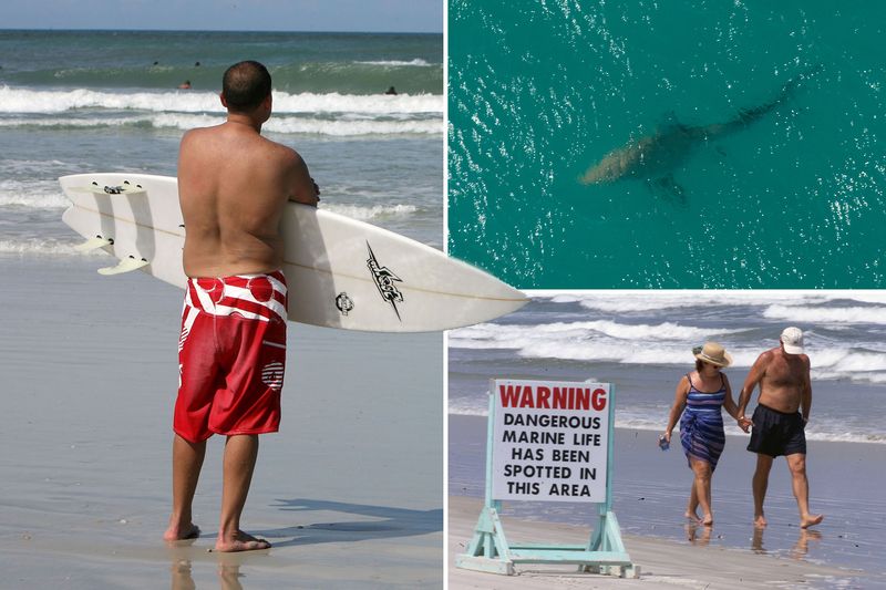 New Smyrna Beach, Florida
