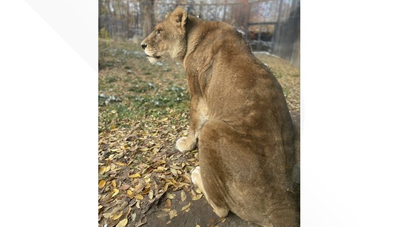 Idaho - Zoo Boise