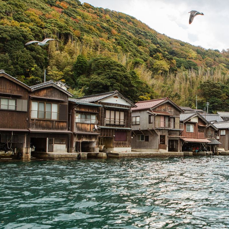 Ine's Floating Houses