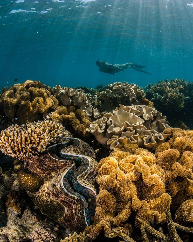 Hidden Gem: Lizard Island, Australia