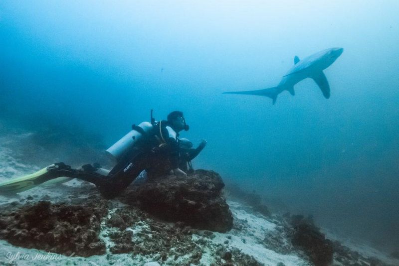Hidden Gem: Malapascua Island
