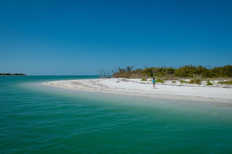 Cayo Costa State Park