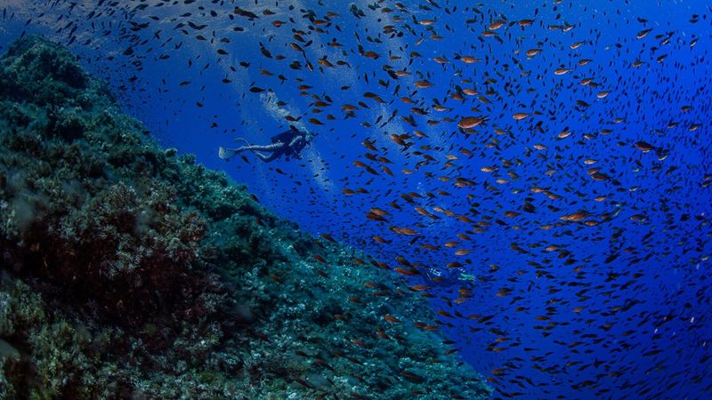 Hidden Gem: Ustica Island, Italy