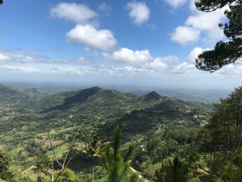 Hidden Gem: Bucari Pine Forest