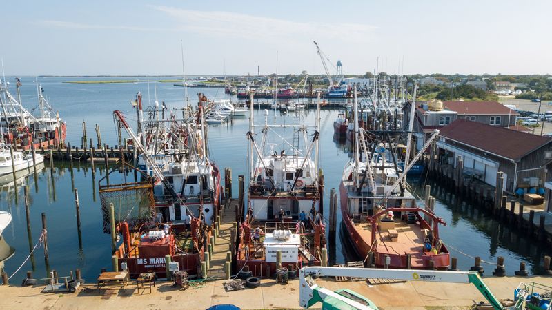 Local Fishing Dock