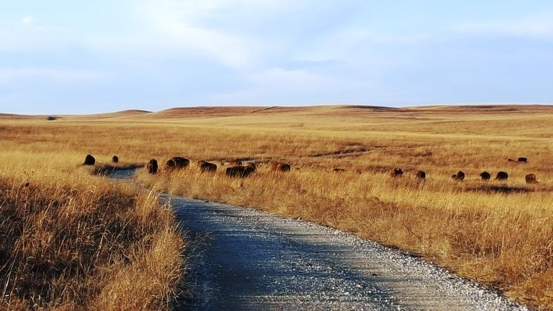 Highway 16, Kansas