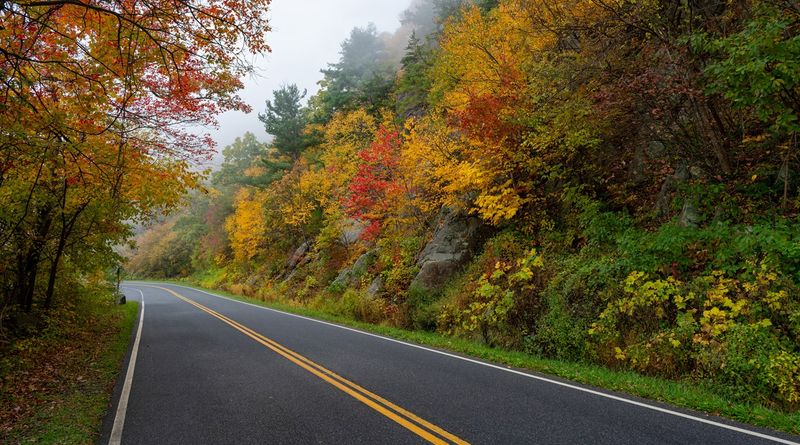 Skyline Drive, Virginia