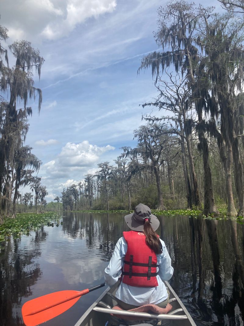 Canoeing Through the Mysterious Okefenokee Swamp