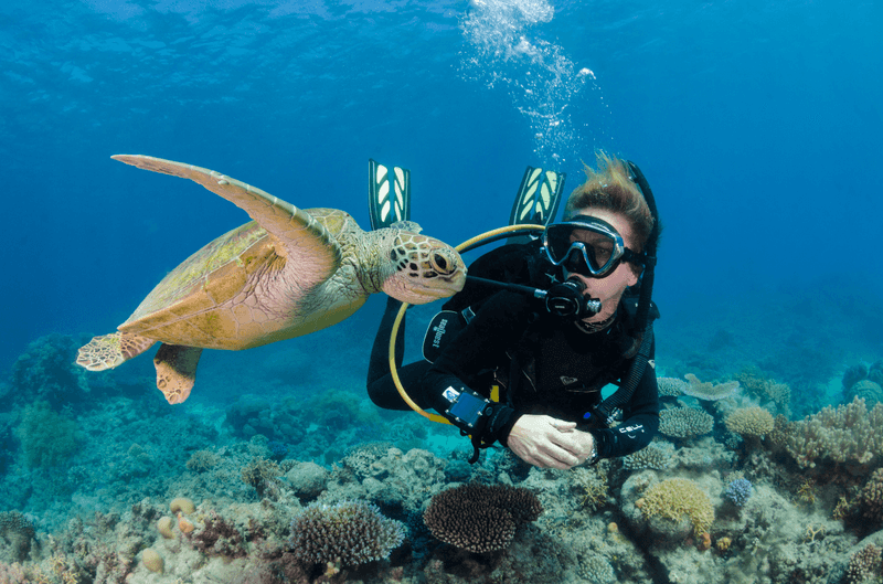 Exploring the Great Barrier Reef