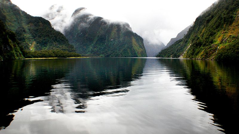 Exploring the Fjords of New Zealand