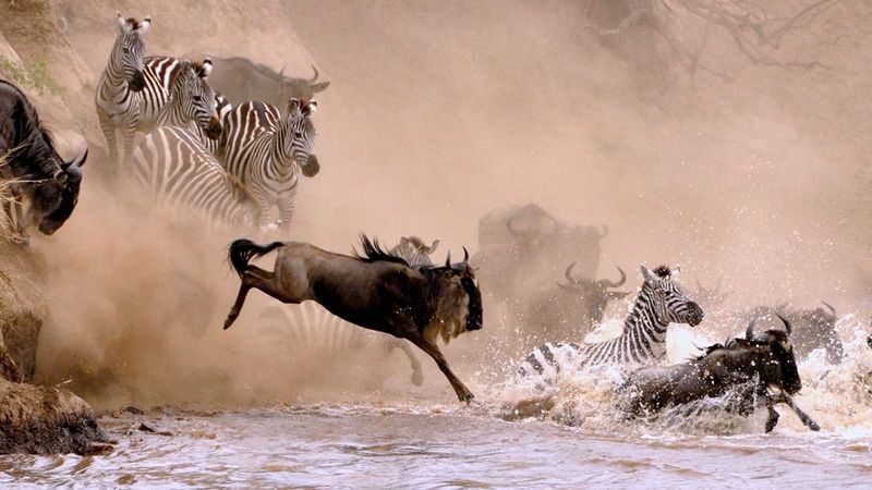 Serengeti Plains