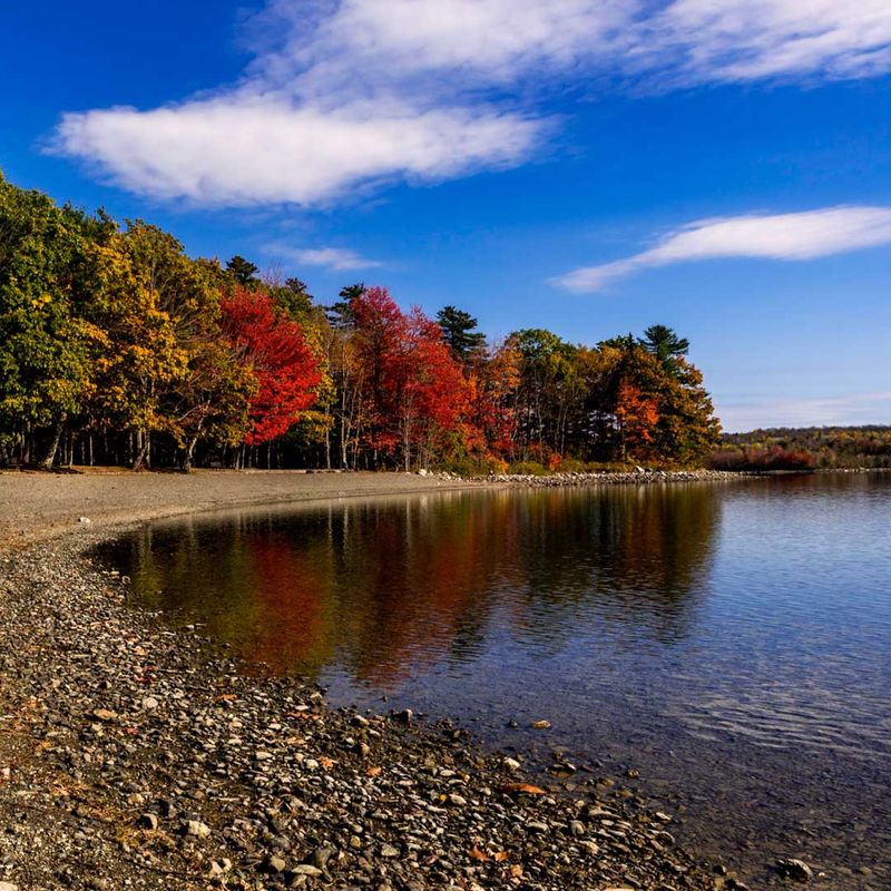 Secluded Park