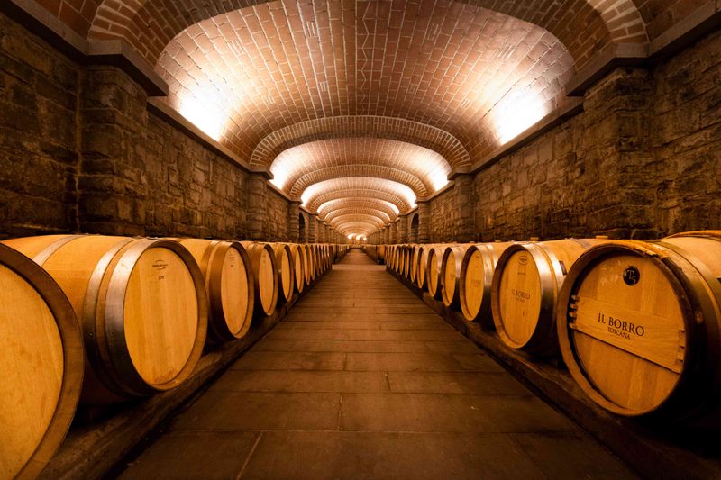 Wine Cellar Tours