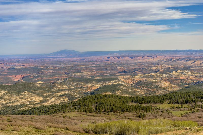 Scenic Overlook Point