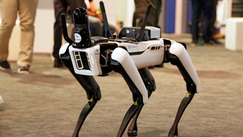 Robot Safari Park