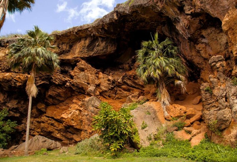 Makauwahi Cave Reserve
