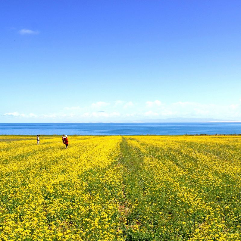 Qinghai Lake
