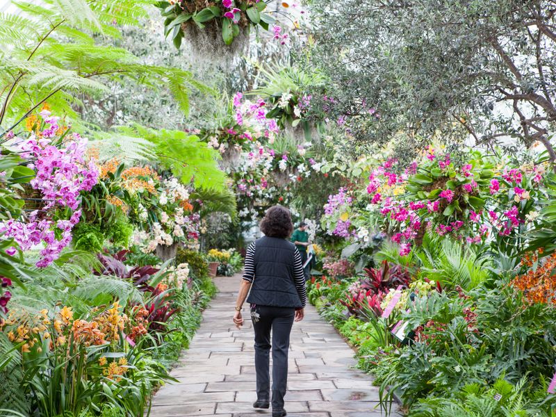 Botanical Garden Visit