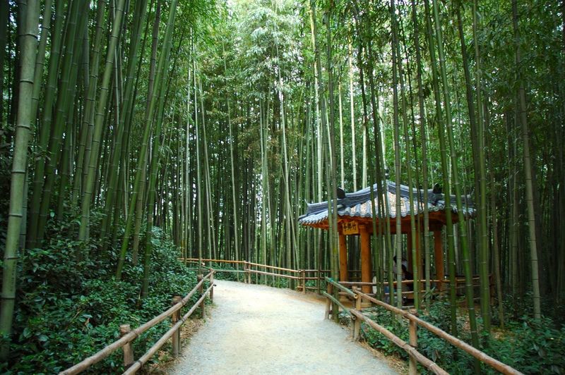 Juknokwon Garden