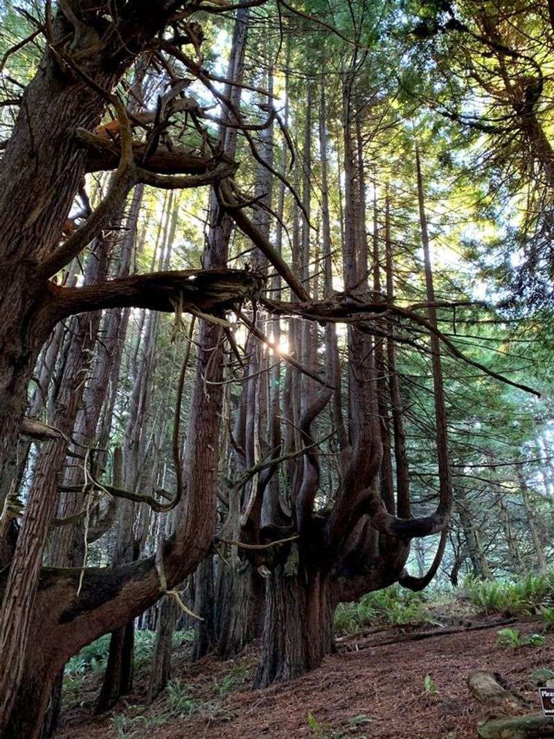 The Enchanted Forest, Oregon