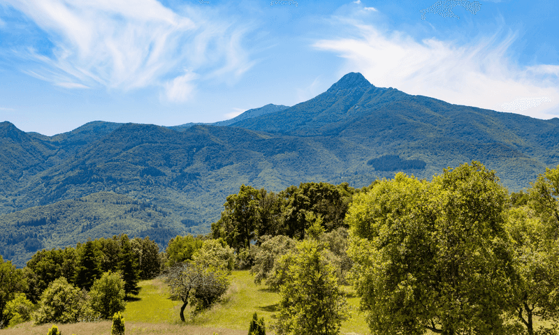 Montseny Natural Park's Tranquil Retreat