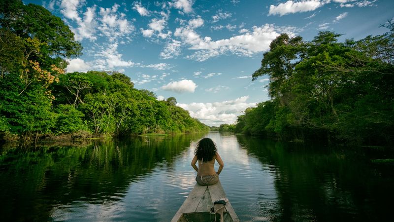 Amazon Rainforest, Brazil