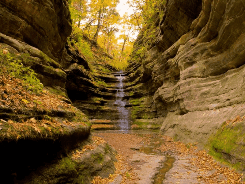 Illinois: Starved Rock State Park