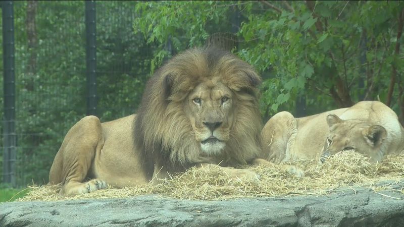 Iowa - Blank Park Zoo