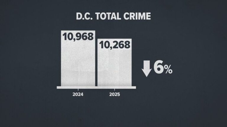 These 19 U.S. Cities Have the Highest Crime Rates in 2025 - We3Travel