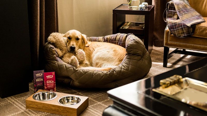 Evaluate Room Accommodations