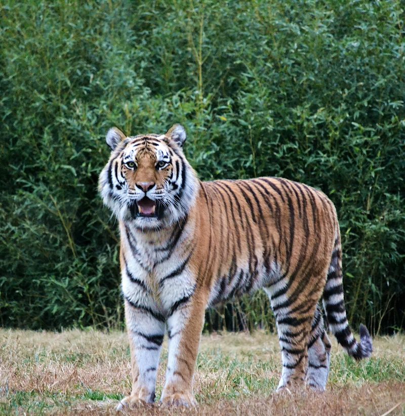 Kansas - Sedgwick County Zoo