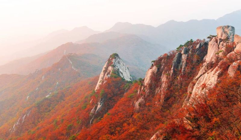South Korea