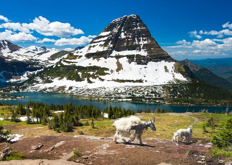 Glacier National Park, Montana