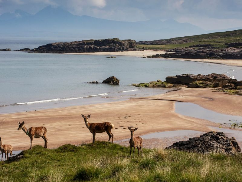 Isle of Rum