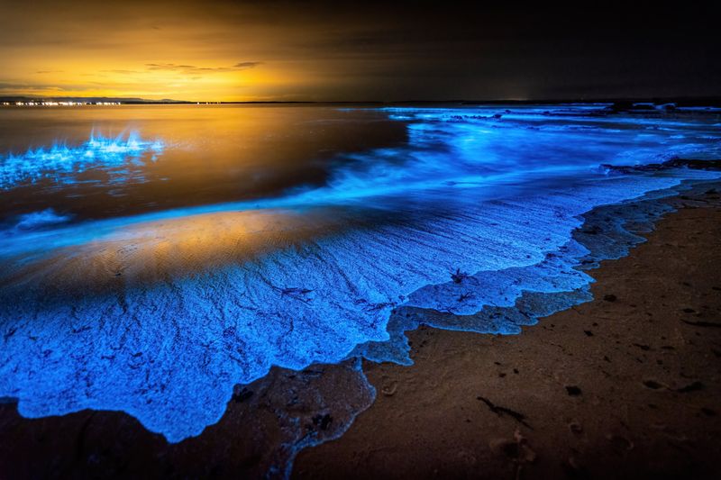 Lunar Lagoon