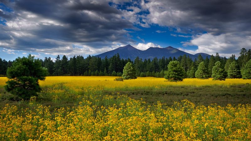Flagstaff, Arizona