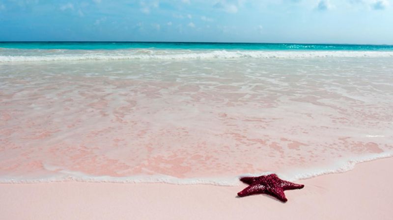 Bahamas
