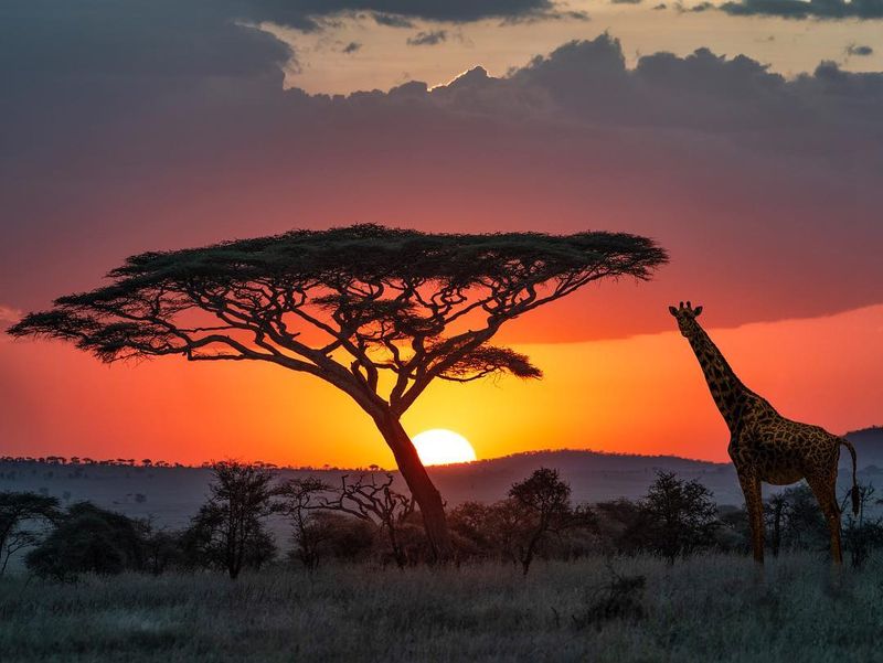 Tanzania's Wild Beauty