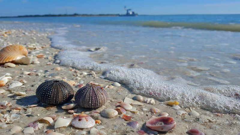 Shell Key Preserve, Florida