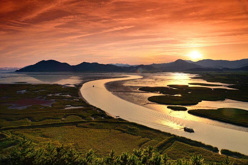 Suncheon Bay Wetland Reserve
