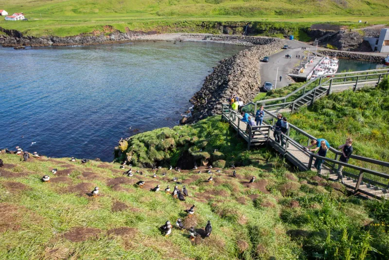 Borgarfjörður Eystri, Iceland