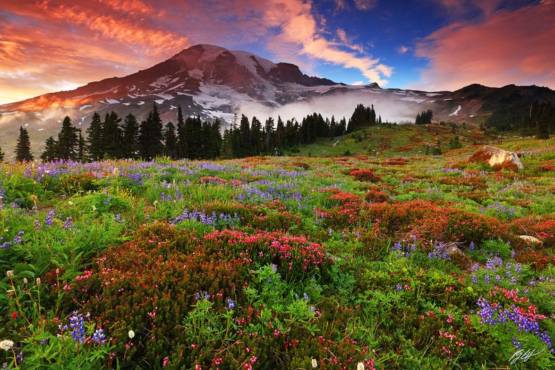 Mount Rainier National Park
