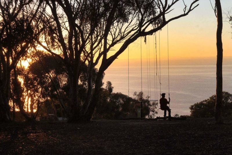 The Secret Swings