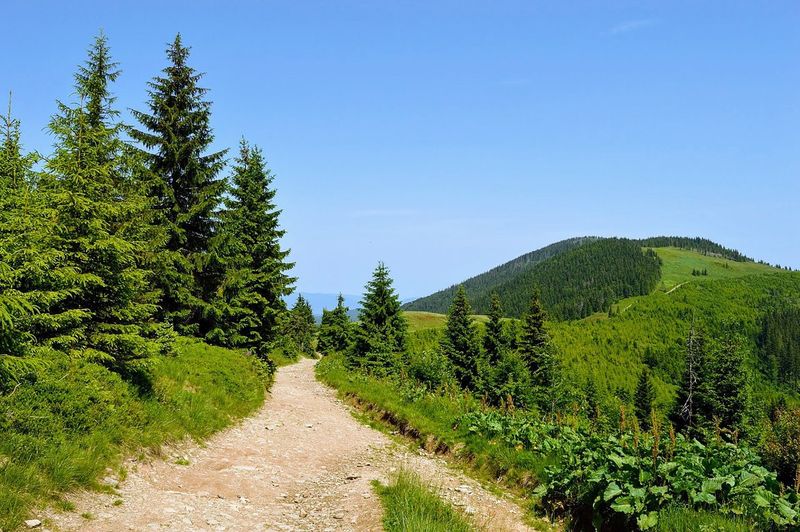 Beskid Mountains