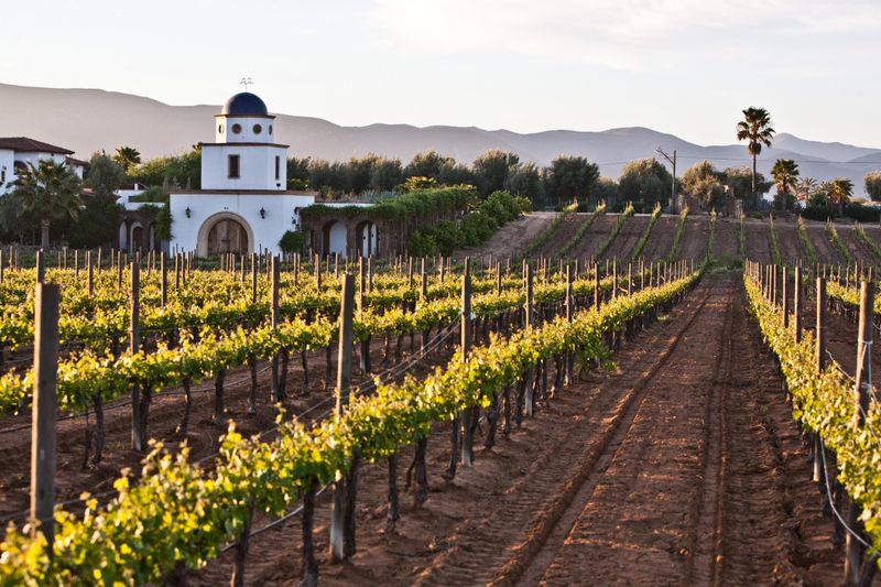 Valle de Guadalupe, Mexico