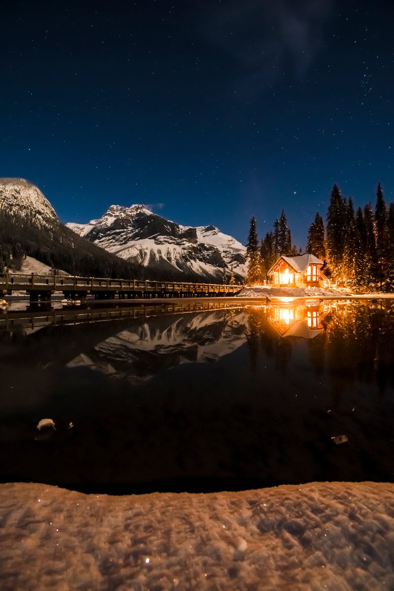 Starlit Nights