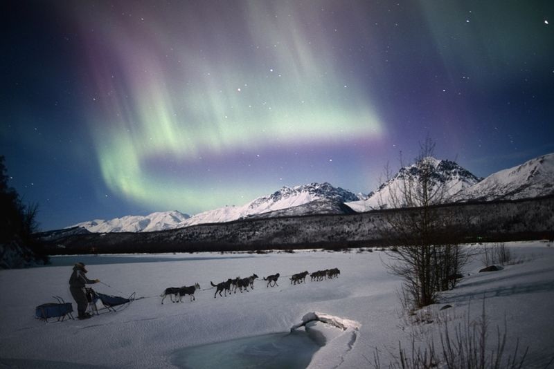 Dog Sledding in Alaska